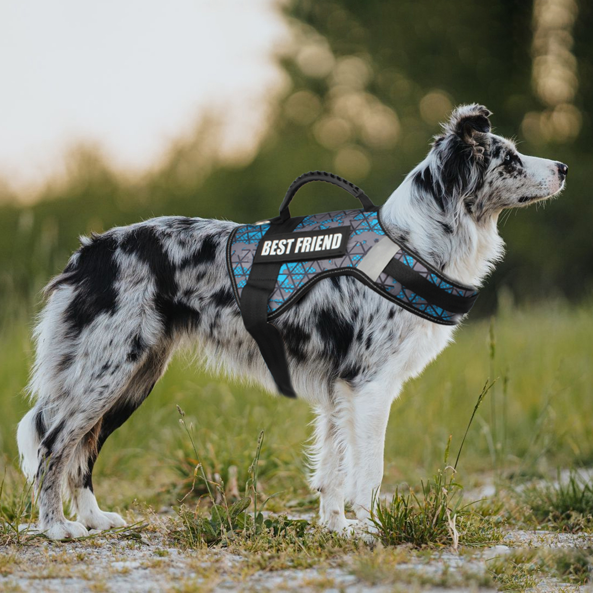 Custom Dog ID Tags For Harness - Embroidery On Leather recension och pris